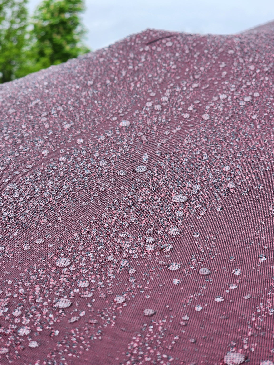 Gouttes d’eau sur une toile